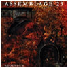 Assemblage 23 : Addendum - CD