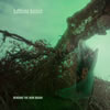 Bedless Bones : Bending the Iron Bough - CD