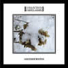 Collection D’Arnell-Andrea : Another Winter - CD