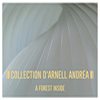 Collection D'arnell Andrea : A Forest Inside - CD