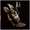Devil and the Universe : Occult Pleasure - CD
