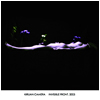 Kirlian Camera : Invisible Front 2005 - CD