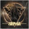 Black Cheetahs : Slow Doomer Fever - CD