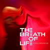 Breath of Life : Sparks around us - CD
