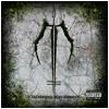 Dawn of Ashes : Infecting the Scars - CD