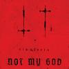 Not My God : Simulacra - CD