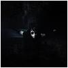 Psyclon Nine : And then Oblivion - CD