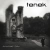 Tenek : Another Day - CDS