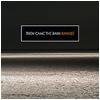 Then Came the Rain : Ravage - CD
